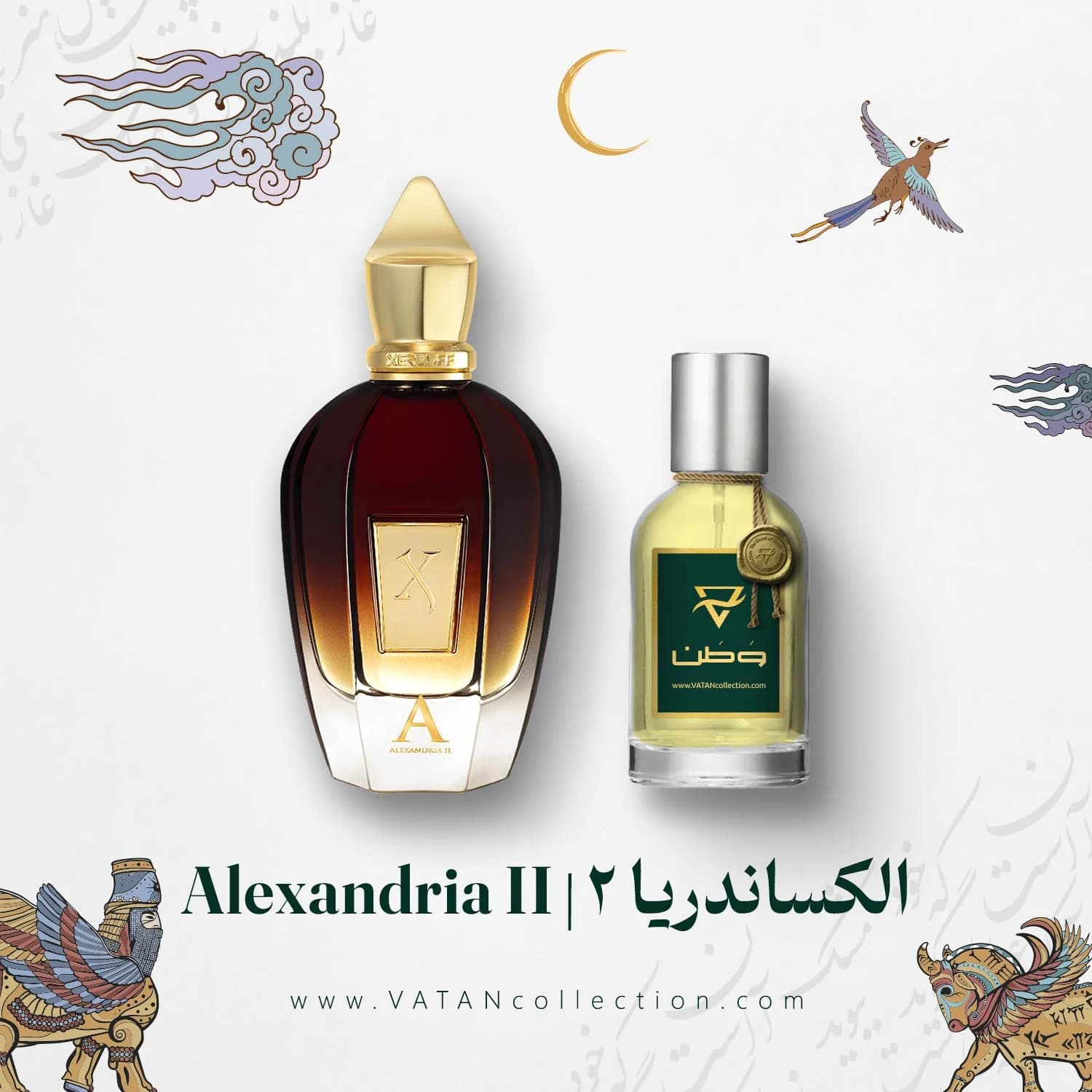 عطر الکساندریا ۲ زرجوف | Xerjoff Alexandria II — تصویر ۵