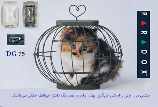 چشم الکترونیک DG75 پارادوکس — تصویر ۷