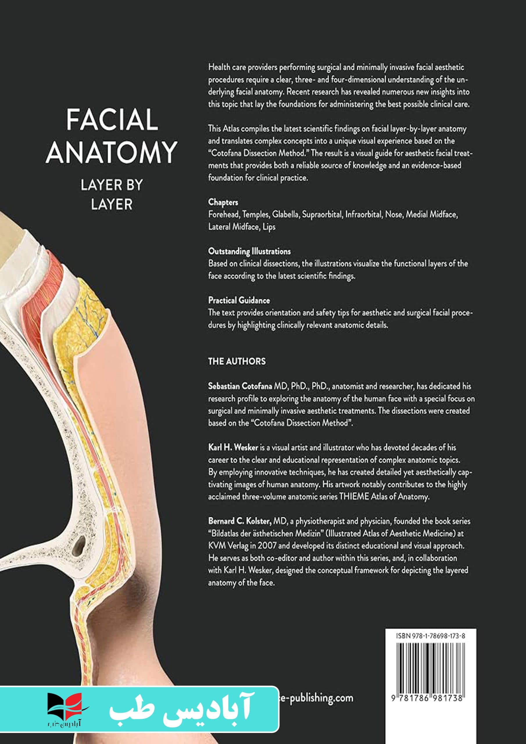 Facial Anatomy: Layer by Layer | آناتومی لایه های صورت کوتوفانو — تصویر ۲