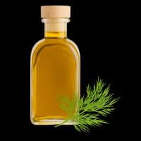 طعم دهنده شوید مایع