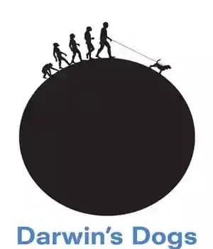 دانلود کتاب Darwin’s Dogs: How Darwin’s Pets Helped Form a World-Changing Theory of Evolution – سگهای داروین: چگونه حیوانات خانگی…