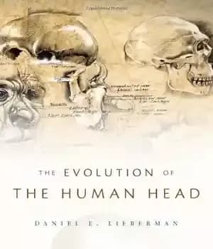 دانلود کتاب The Evolution of the Human Head – تکامل سر انسان