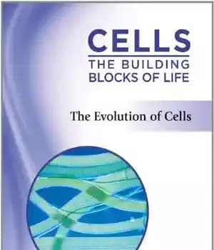 دانلود کتاب The Evolution of Cells (Cells: The Building Blocks of Life) – تکامل سلول ها (سلول ها: بلوک های…