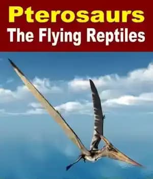 دانلود کتاب Pterosaurs The Flying Reptiles: Dinosaur Books For Young Readers – Pterosaurs The Flying Reptiles: Dinosaur Books for Young…