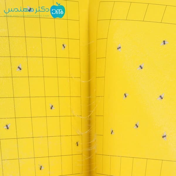 چسب حشرات پرنده ترمينكس 45×25 — تصویر ۳