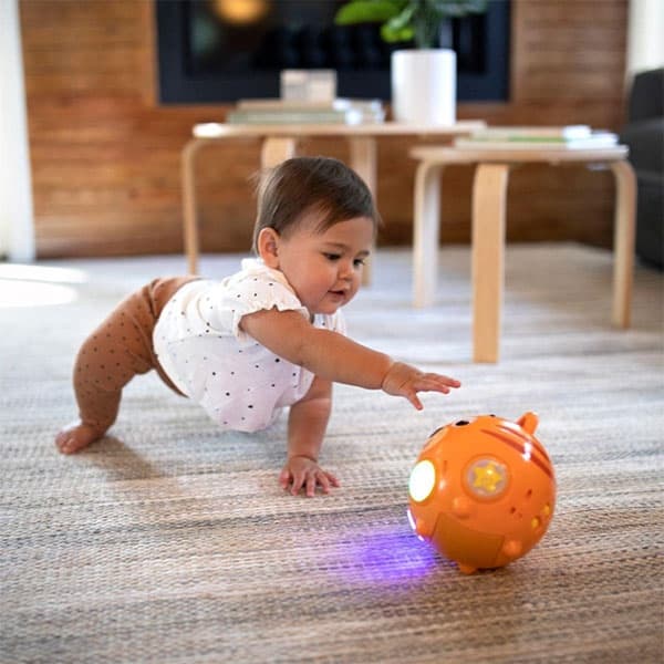 خرس موزیکال Baby Einstein مدل Tinker’s Crawl — تصویر ۴