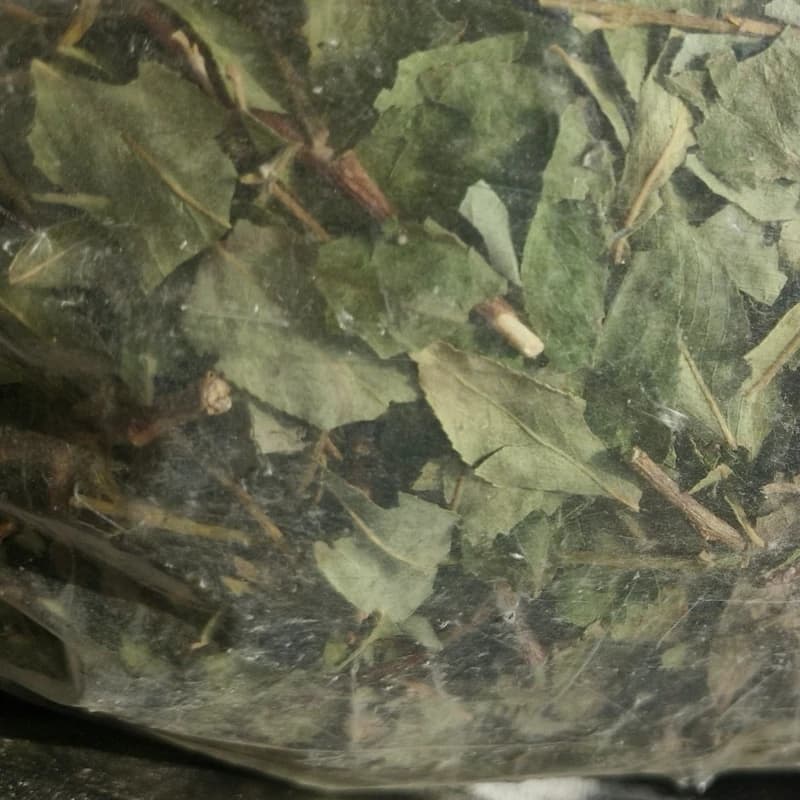 برگ بید 75 گرم