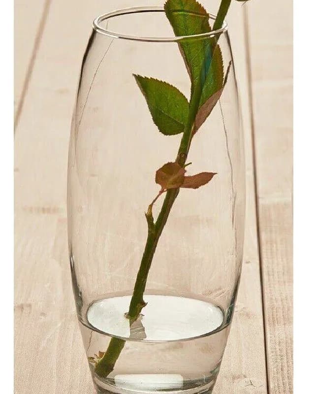گلدان بلند خمره ای پاشاباغچه BOTANICA-43966 — تصویر ۳