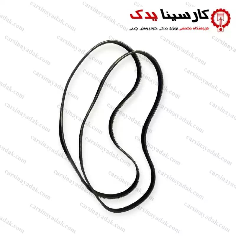 تسمه دینام دایون Y7 — تصویر ۳