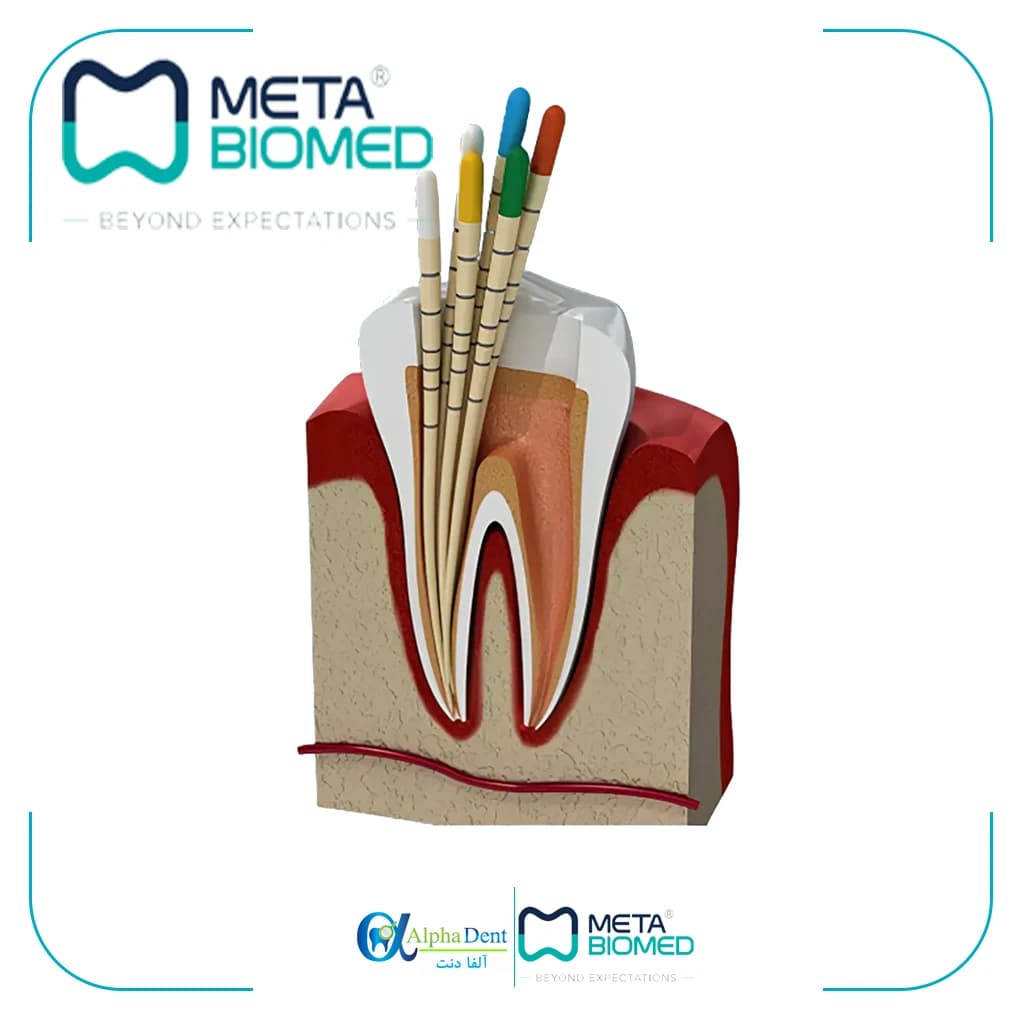 گوتا متا 4 درصد META — تصویر ۲