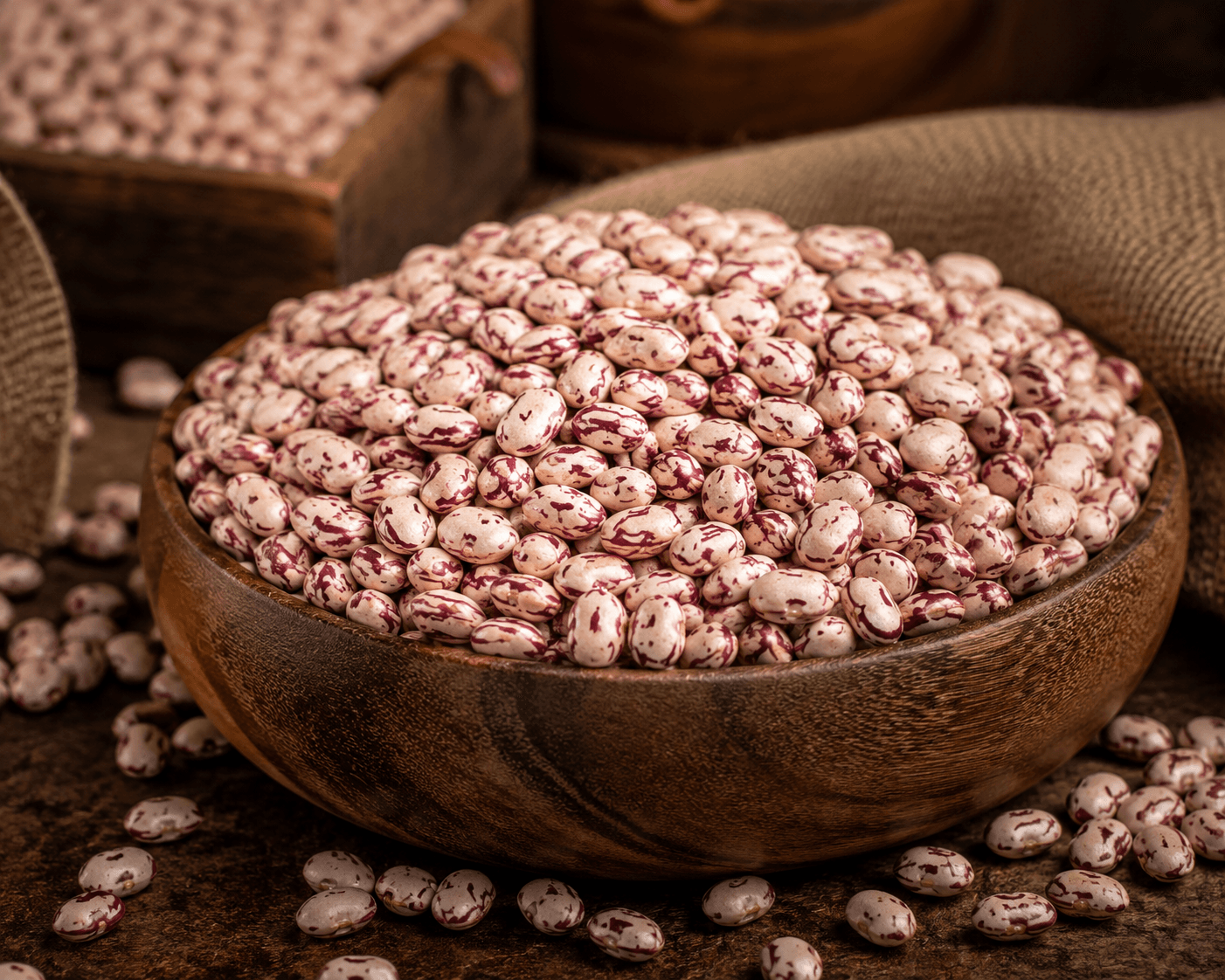 لوبیا چیتی اقلید