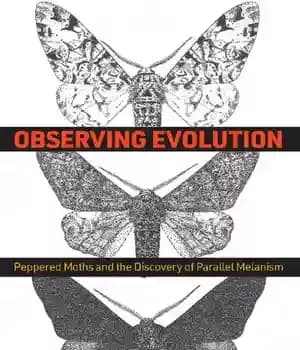 دانلود کتاب Observing Evolution: Peppered Moths and the Discovery of Parallel Melanism – مشاهده تکامل: پروانه های فلفلی و کشف… — تصویر ۲