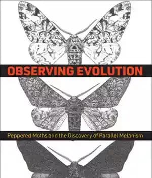 دانلود کتاب Observing Evolution: Peppered Moths and the Discovery of Parallel Melanism – مشاهده تکامل: پروانه های فلفلی و کشف…