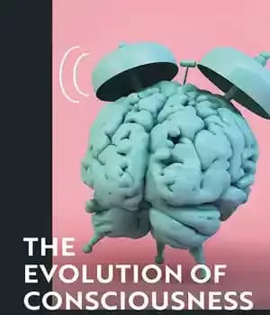 دانلود کتاب The Evolution of Consciousness: Representing the Present Moment – تکامل آگاهی: نمایش لحظه حال