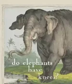 دانلود کتاب Do Elephants Have Knees? And Other Darwinian Stories of Origins – آیا فیل ها زانو دارند؟ و دیگر…