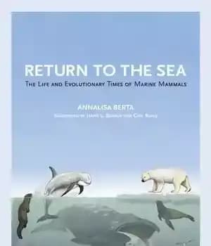 دانلود کتاب Return to the Sea: The Life and Evolutionary Times of Marine Mammals – بازگشت به دریا: زندگی و…