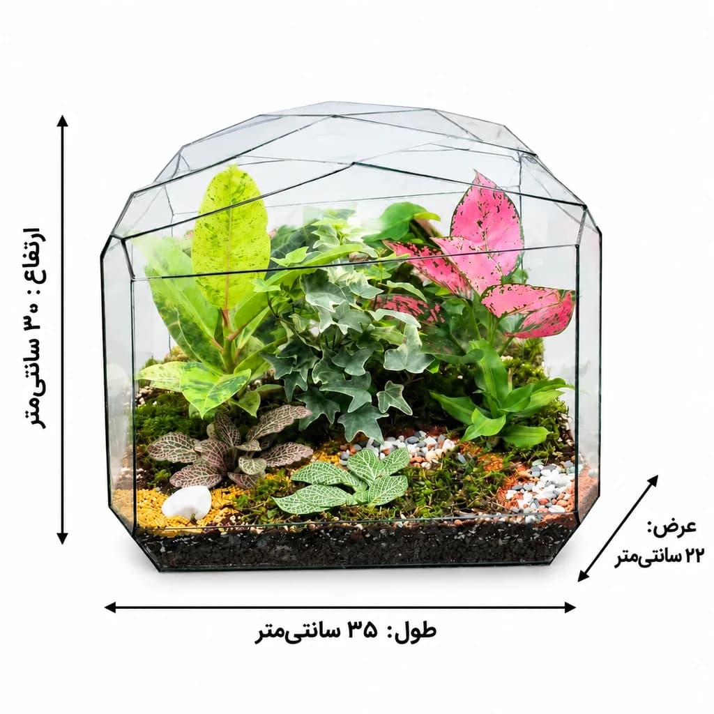 تراریوم آریانا — تصویر ۲