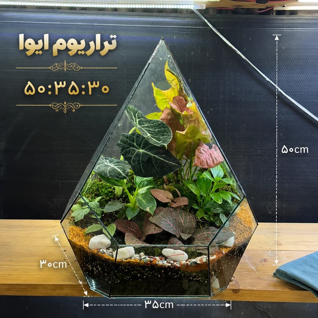 تراریوم هرمی چندوجهی «ایوا» — تصویر ۲