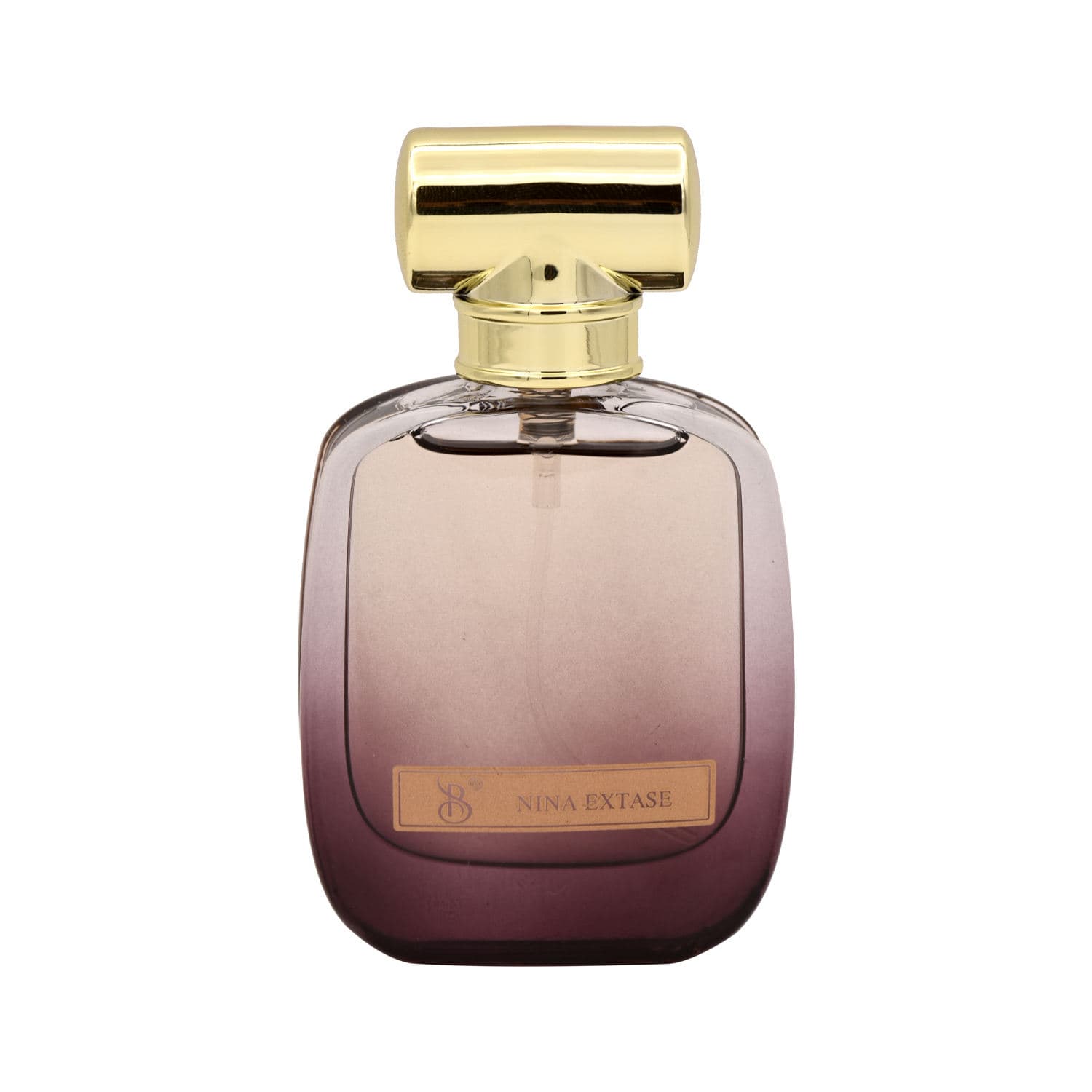 عطر جیبی زنانه برندینی مدل نینا اکستاس Nina Extase حجم ۲۵ میلی لیتر | Brandini Nina Extase Eau De Parfum For Women 25 ml