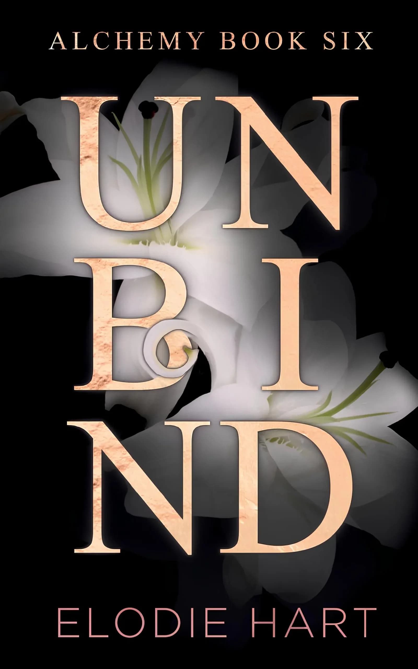 کتاب رها کن (Unbind) نسخه انگلیسی PDF | الودی هارت