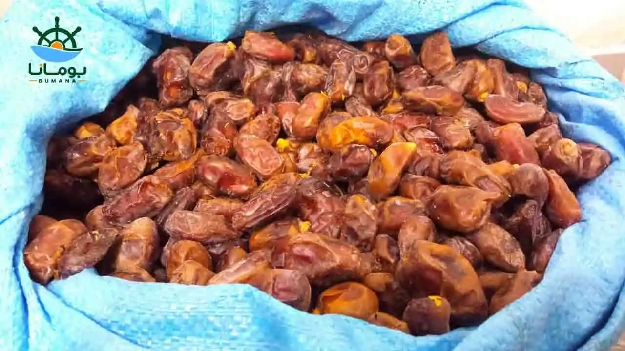 خرمای سعمرون(خرمای گوشتی قهوه ای) — تصویر ۲