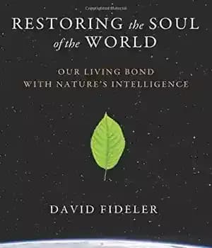 دانلود کتاب Restoring the soul of the world : our living bond with nature’s intelligence – بازیابی روح جهان: پیوند…