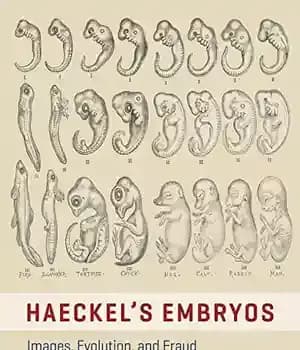 دانلود کتاب Haeckel’s Embryos: Images, Evolution, and Fraud – جنین های هکل: تصاویر، تکامل و تقلب