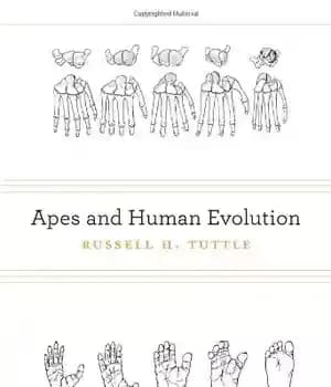 دانلود کتاب Apes and Human Evolution – میمون ها و تکامل انسان