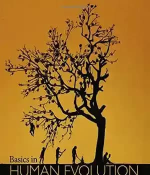 دانلود کتاب Basics in Human Evolution – مبانی تکامل انسان