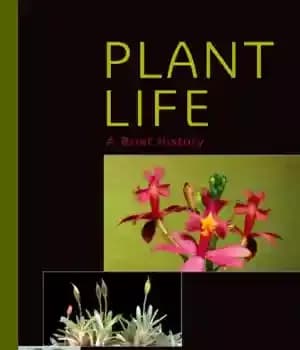 دانلود کتاب Plant Life A Brief History – زندگی گیاهی یک تاریخچه مختصر