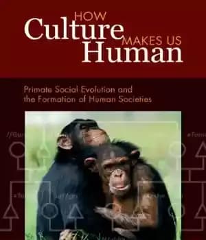 دانلود کتاب How Culture Makes Us Human: Primate Social Evolution and the Formation of Human Societies – فرهنگ چگونه از…