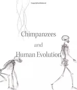 دانلود کتاب Chimpanzees and Human Evolution – شامپانزه ها و تکامل انسان