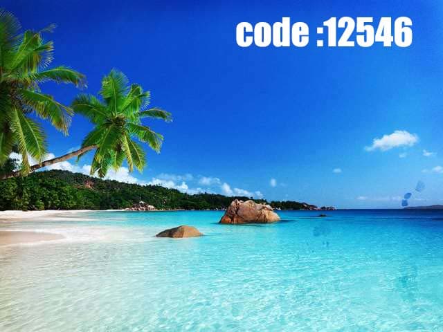 پوستر دیواری ساحل استوایی و نخل‌های خمیده
