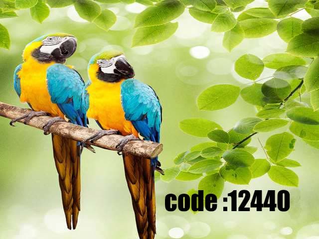 پوستر دیواری طرح آشیانه طوطیهای بهاری