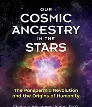 دانلود کتاب Our Cosmic Ancestry in the Stars: The Panspermia Revolution and the Origins of Humanity – اصل و نسب…