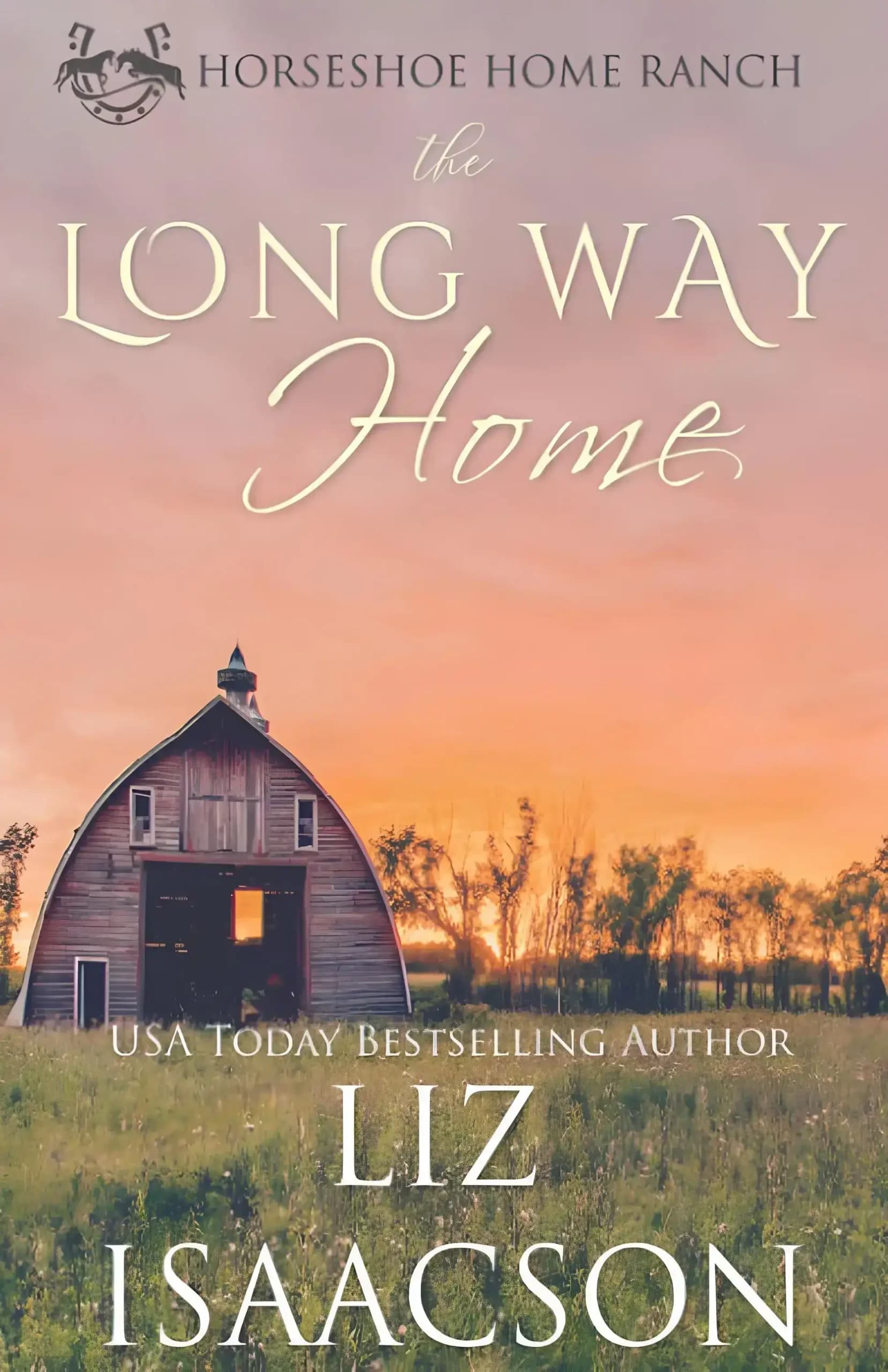 کتاب راه طولانی به خانه (The Long Way Home) نسخه انگلیسی PDF | لیز آیزاکسون