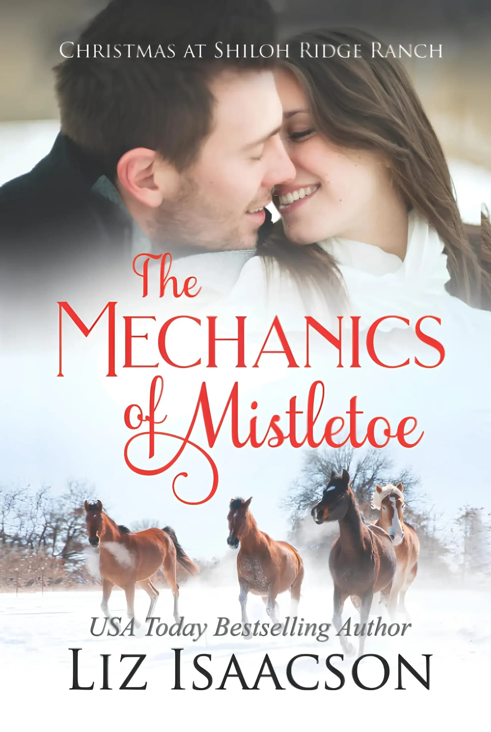 کتاب تعمیرکار و بوسه زیر دارواش (The Mechanics of Mistletoe) نسخه انگلیسی PDF | لیز آیزاکسون
