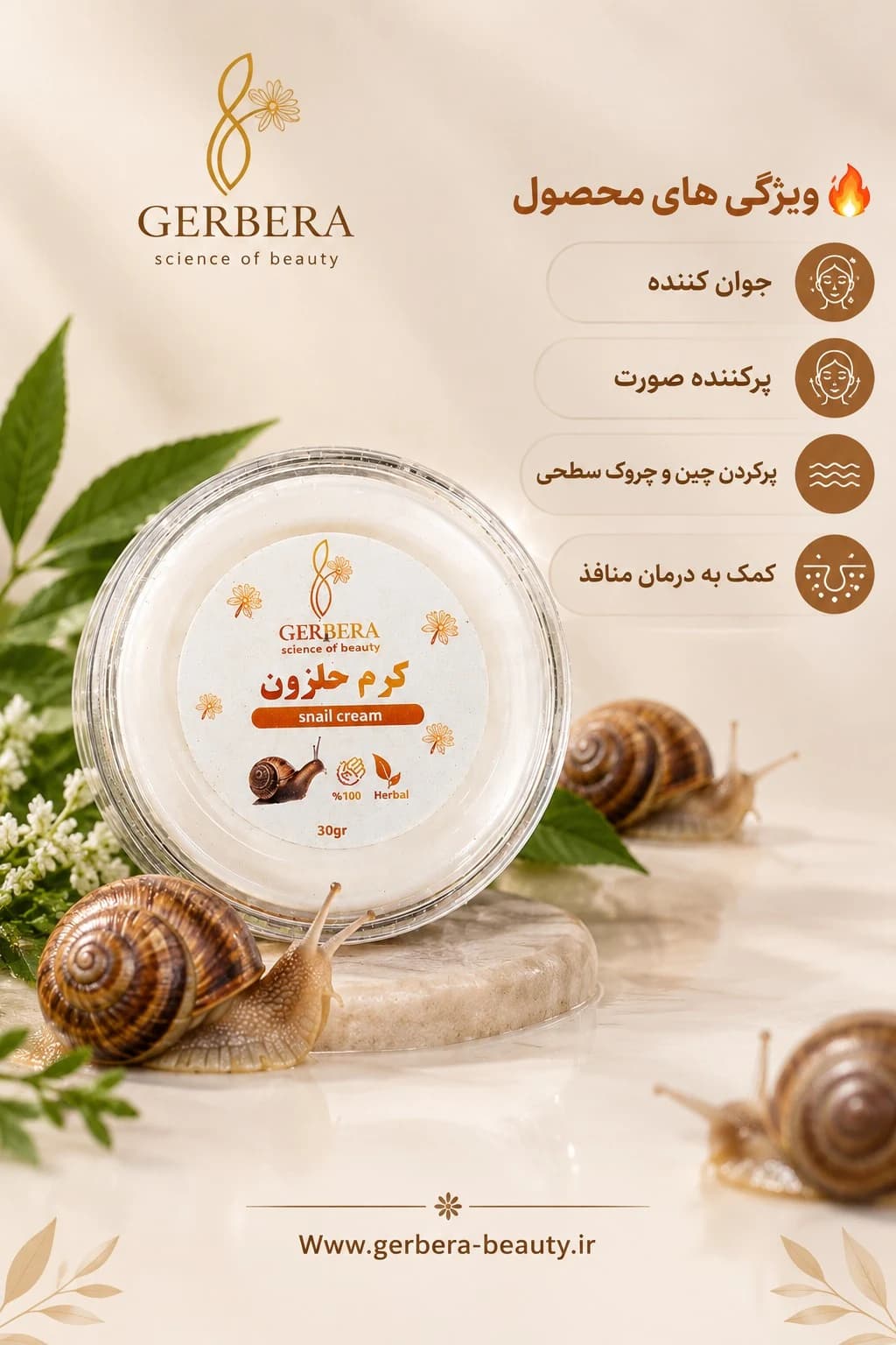 کرم حلزون ژربرا — تصویر ۲