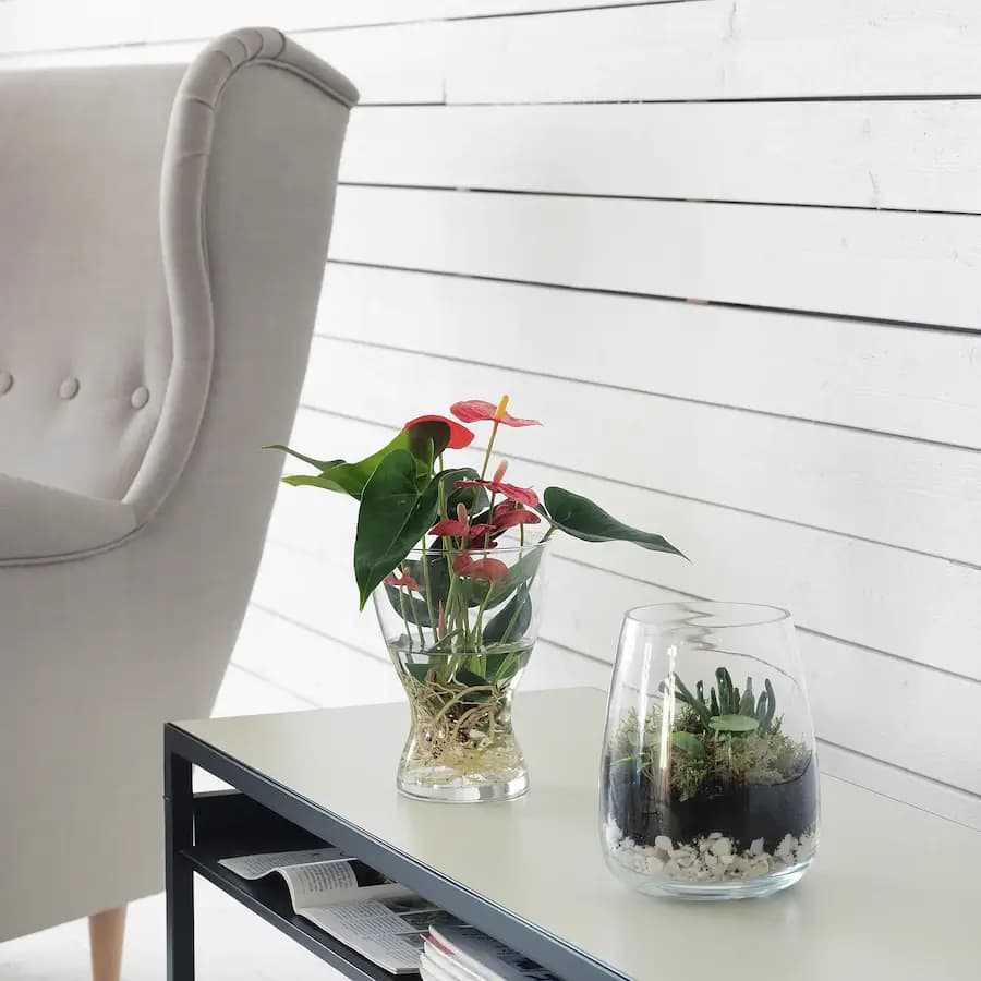 گلدان شیشهای ایکیا IKEA-VASEN — تصویر ۷