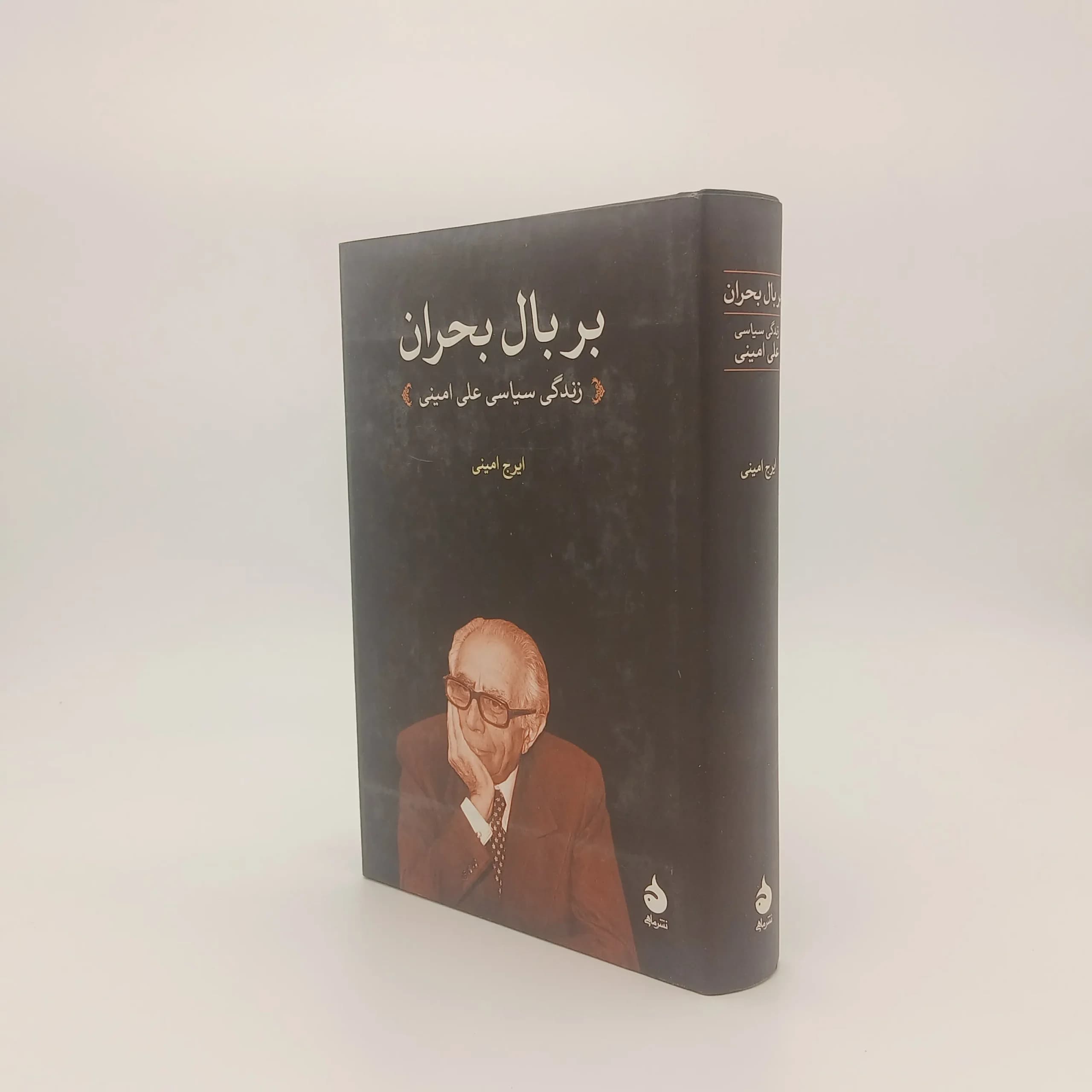 بر بال بحران — تصویر ۳