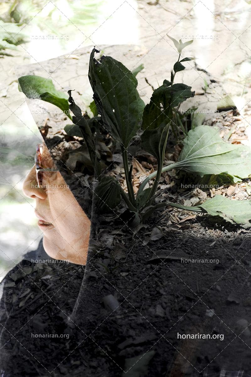 رویای طبیعت – چندنگاره ای از پرتره انسان و گیاهان جنگلی
