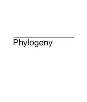 دانلود کتاب Phylogeny: Discrete and Random Processes in Evolution – فیلوژنی: فرآیندهای گسسته و تصادفی در تکامل