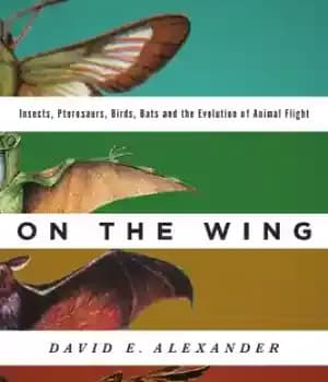 دانلود کتاب On the wing: insects, pterosaurs, birds, bats and the evolution of animal flight – روی بال: حشرات، پتروسارها،…