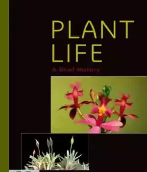 دانلود کتاب Plant Life: a brief history – زندگی گیاهی: یک تاریخ مختصر
