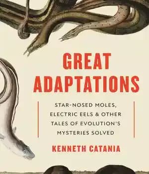 دانلود کتاب Great Adaptations: Star-Nosed Moles, Electric Eels, and Other Tales of EvolutionÖs Mysteries Solved – اقتباس‌های بزرگ: خال‌های دماغ…