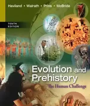 دانلود کتاب Evolution and prehistory: the human challenge – تکامل و پیش از تاریخ: چالش انسان