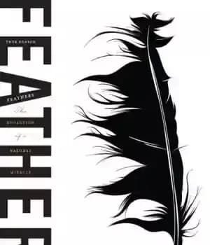 دانلود کتاب Feathers: the evolution of a natural miracle – پرها: تکامل یک معجزه طبیعی — تصویر ۲