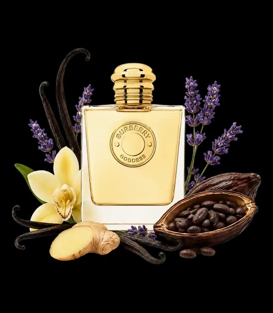 عطر بربری گادس | Burberry Goddess — تصویر ۲