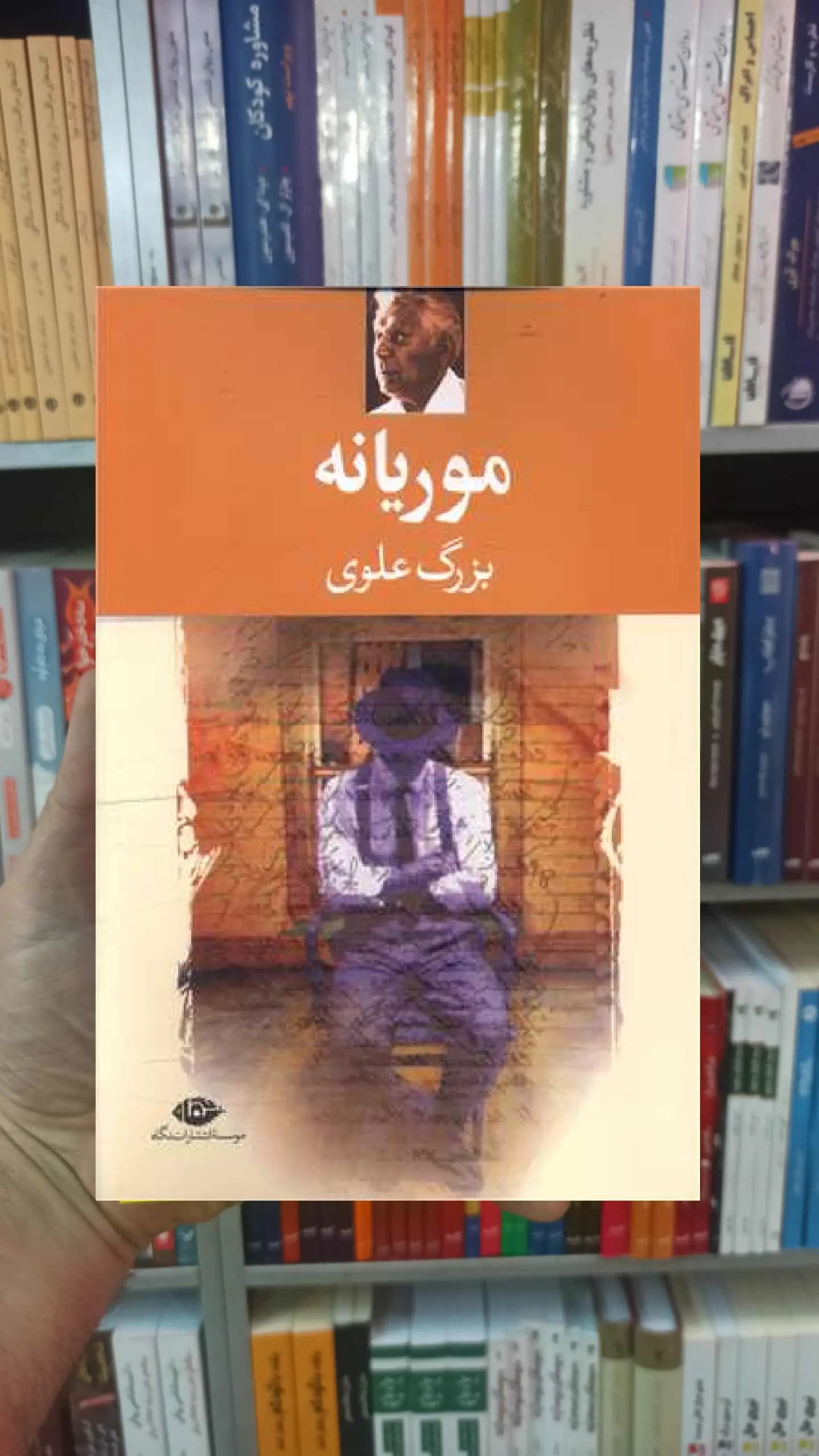 موریانه بزرگ علوی نگاه — تصویر ۲