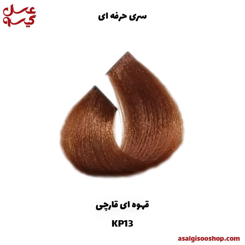 رنگ مو کاترومر KATROMER سری حرفه ای / کد 1374 — تصویر ۵